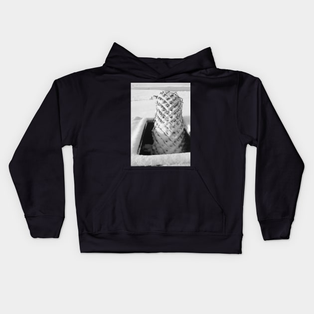 Chicken wire in snow Kids Hoodie by robelf